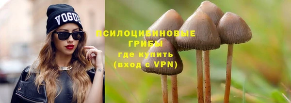 спиды Кукмор