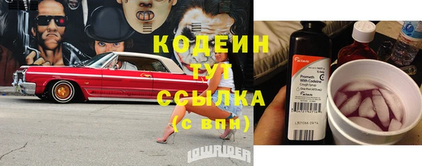 эйфоретик Куйбышев
