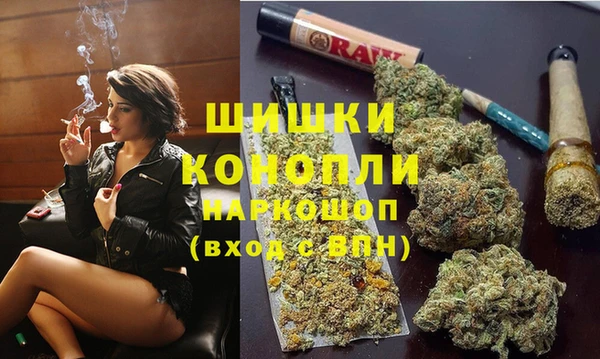 сатива Алагир