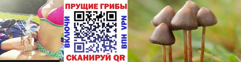 Галлюциногенные грибы мицелий  MEGA сайт  Невьянск 